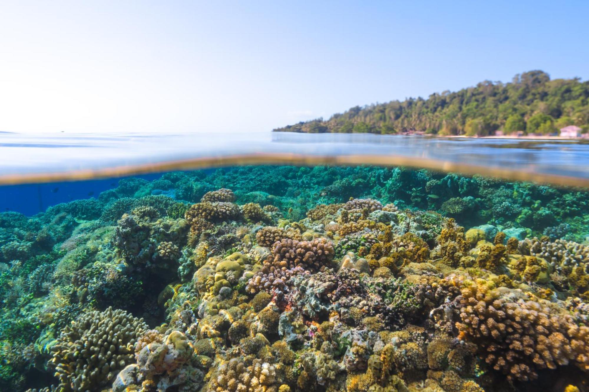 Reconnect - Private Island Resort & Dive Center Togean - Buka Buka Island Ampana Ngoại thất bức ảnh