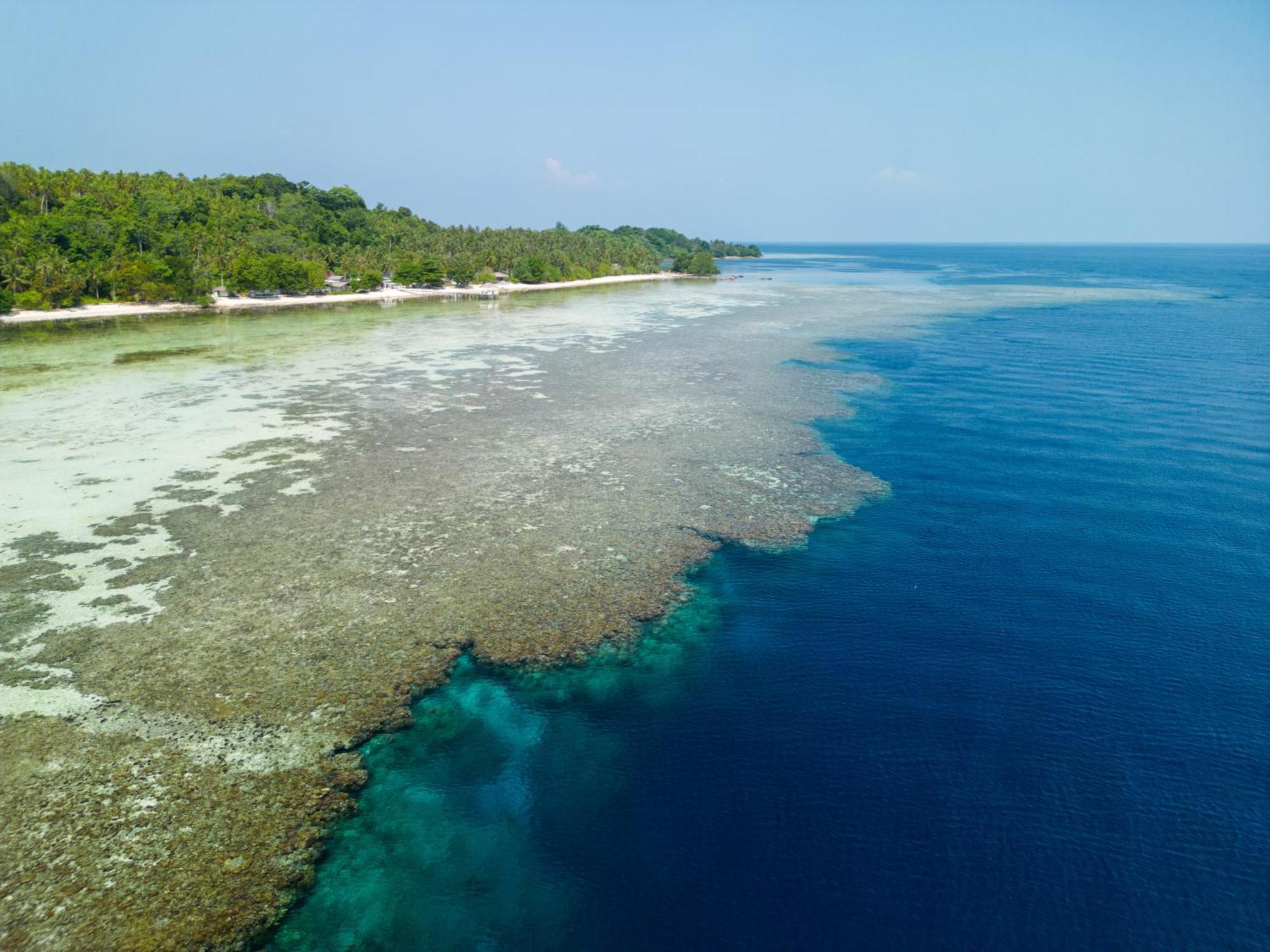 Reconnect - Private Island Resort & Dive Center Togean - Buka Buka Island Ampana Ngoại thất bức ảnh