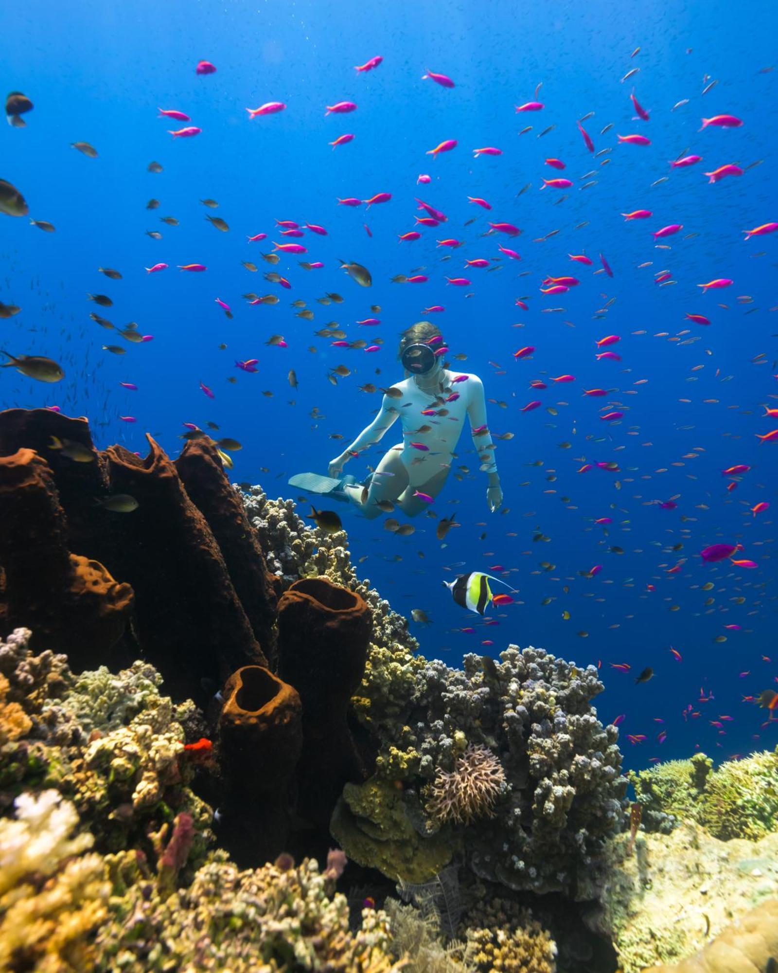Reconnect - Private Island Resort & Dive Center Togean - Buka Buka Island Ampana Ngoại thất bức ảnh